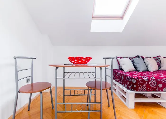 Amarilis * Újvidék